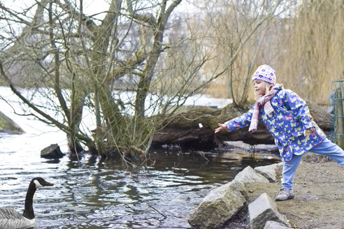 Kleines Mädchen füttert Vögel am Teich - JFEF000407