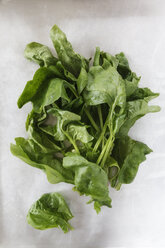 Fresh spinach leaves - EVGF000558