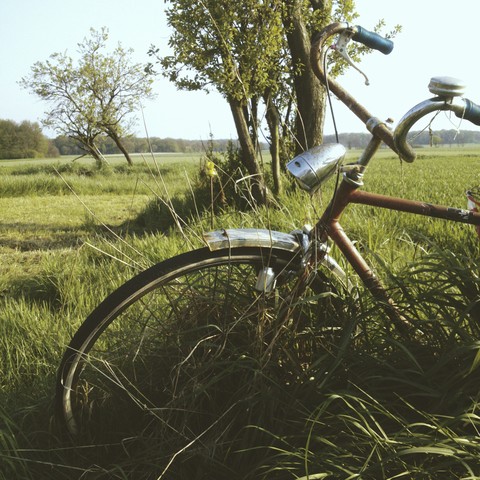 Deutschland, Nordrhein-Westfalen, Petershagen, Altes Fahrrad auf einem Bauernhof mit Gräsern., lizenzfreies Stockfoto