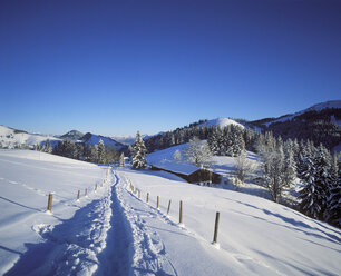 Germany, Bavaria, Upper Bavaria, Manfall Mountains, near Bayrischzell, Sudelfeld - SIEF005329