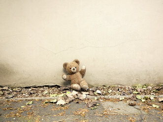 Teddy auf dem Hof verloren, Neuss, NRW, Deutschland - UWF000089