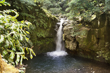 Portugal, Azoren, Sao Miguel, Wasserfall im Parque Natural da Ribeira dos Caleiroes - ONF000513