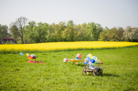 Holzwagen mit Luftballons und Tisch von Kindergeburtstag auf einer Wiese, lizenzfreies Stockfoto