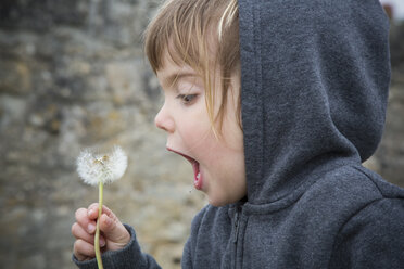 Portrait of little girl blowing blowball - LVF001148