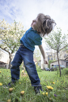 Happy little boy dancing in the garden - ZMF000272