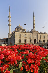 Türkei, Istanbul, Tulpenbeet vor der Yeni Camii - SIEF005335