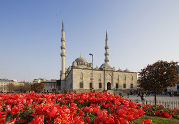 Türkei, Istanbul, Tulpenbeet vor der Yeni Camii - SIEF005336
