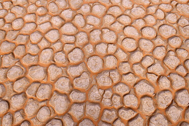 Algeria, Tassili n' Ajjer, Sahara, broken surface of a salt and clay pan - ESF001039