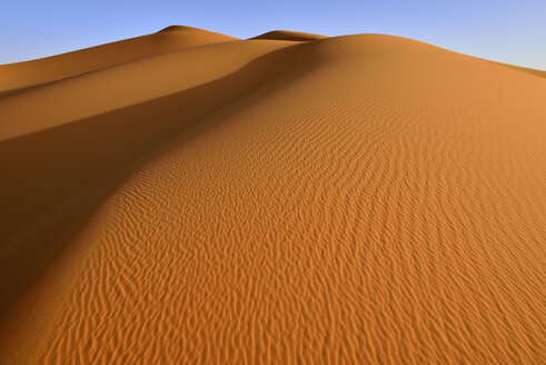 Algerien, Tassili n' Ajjer, Sahara, Sandkräuselungen einer Wüstendüne - ESF001038