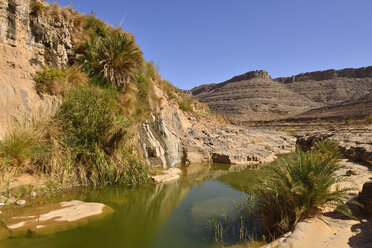 Algerien, Tassili N'Ajjer National Park, Iherir, Wasser in einem Guelta in der Idaran-Schlucht - ES001044