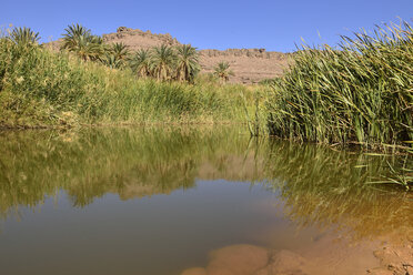 Algerien, Tassili N'Ajjer National Park, Iherir, Wasser in einem Guelta in der Idaran-Schlucht - ES001046