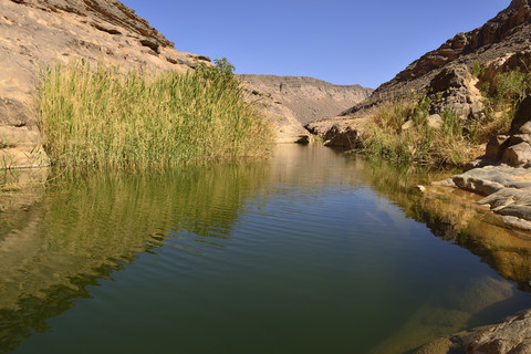 Algerien, Tassili N'Ajjer National Park, Iherir, Wasser in einem Guelta in der Idaran-Schlucht, lizenzfreies Stockfoto