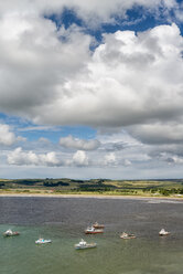 Neuseeland, Chatham-Insel, Waitangi, Fischerboote in Bucht - SH001212