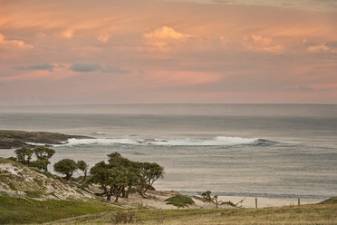 New Zealand, Chatham Island, Ohira Bay at sunset - SHF001204