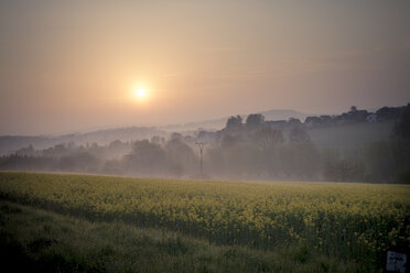 Deutschland, Nordrhein-Westfalen, Detmold, Teutoburger Wald, Sonnenaufgang - SBDF000808