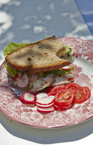 Brot mit Tomaten und rotem Rettich auf dem Teller, lizenzfreies Stockfoto