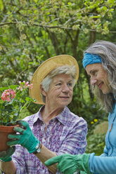 Ältere Mutter und Tochter bei der Gartenarbeit - AKF000373