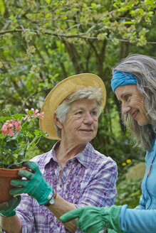 Senior mother and daughter gardening - AKF000373