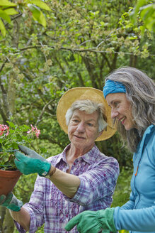 Senior mother and daughter gardening - AKF000384