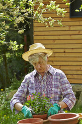 Ältere Frau bei der Gartenarbeit - AKF000371