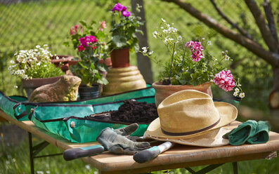 Flowers, hat and gardening tools on table - AKF000379