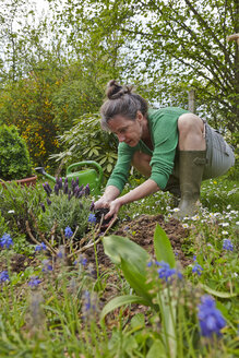 Reife Frau bei der Gartenarbeit - AKF000390