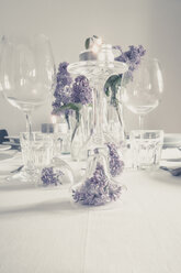 Table decoration with glasses and lilacs, Vaihingen / Enz, Baden-Wuerttemberg, Germany - SBDF000869