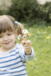 Hand eines kleinen Mädchens mit Gänseblümchen - LVF001191