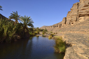 Algerien, Tassili n' Ajjer, Sahara, Wasser und Palmen bei Iherir - ES001054