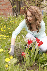 Frau pflanzt im Garten - VTF000217