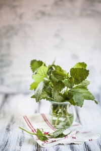 Zitronenmelisse, Melissa officinalis, in einem Glas - SBDF000863