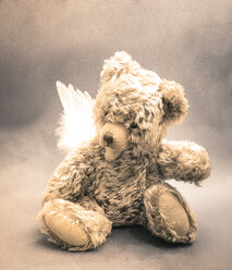 Teddybär mit Winkelflügeln, Studioaufnahme - FCF000186