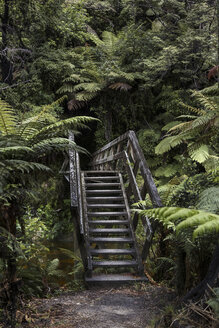Neuseeland, Abel Tasman Nationalpark, Blick auf alte Treppen - STDF000041