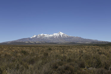 Neuseeland, Blick auf den Mount Ruapehu - STDF000055