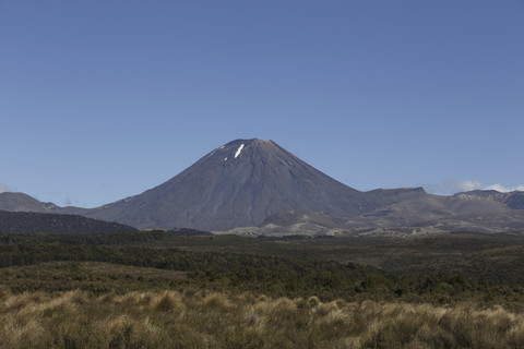 Neuseeland, Blick auf den Mount Ngauruhoe, lizenzfreies Stockfoto