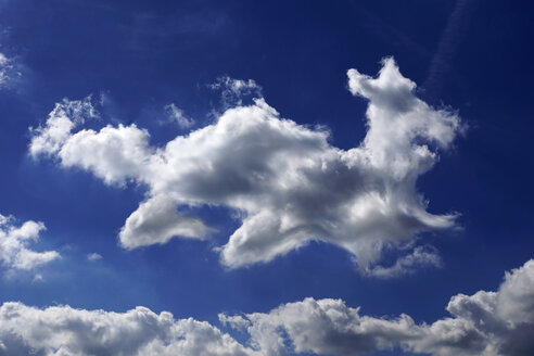 Deutschland, Nordrhein-Westfalen, Wolkenformation in Form eines Hundes - HOHF000782