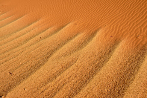 Algerien, Sahara, Tassili n' Ajjer, Wellen auf Wüstendüne - ESF001068