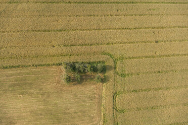 Germany, Rhineland-Palatinate, Eifel, aerial view of fields landscape - PAF000645