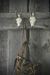 Antier und Lederhosen hängen an einer Holzwand - ASF005357