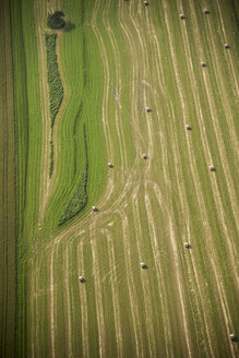Germany, Rhineland-Palatinate, Eifel, aerial view of fields landscape - PAF000627