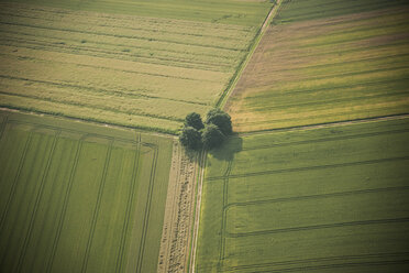 Germany, Rhineland-Palatinate, Eifel, aerial view of fields landscape - PAF000615