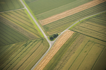 Germany, Rhineland-Palatinate, Eifel, aerial view of fields landscape - PAF000628