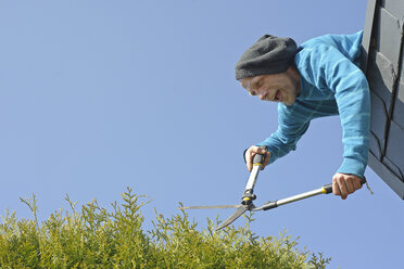 Man trimming hedge from top of roof - HACF000111