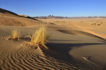 Algerien, Sahara, Tassili n' Ajjer, Wüstendüne von Erg Admer im Tassili n' Ajjer National Park - ES001082