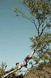 Two boys climbing on tree - HHF004803