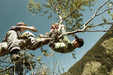 Two boys climbing on tree - HHF004805