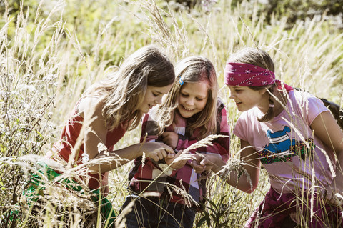 Drei Mädchen erkunden die Natur, lizenzfreies Stockfoto