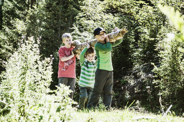 Drei Jungen tragen Holzscheite in die Natur - HHF004822