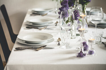 Festive laid table with lilac, Syringa - SBDF000895