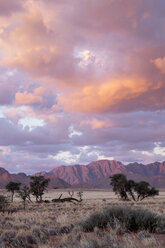 Africa, Namibia, Sossusvlei, Landscape with mountains, trees and clouds at sunset - HLF000476